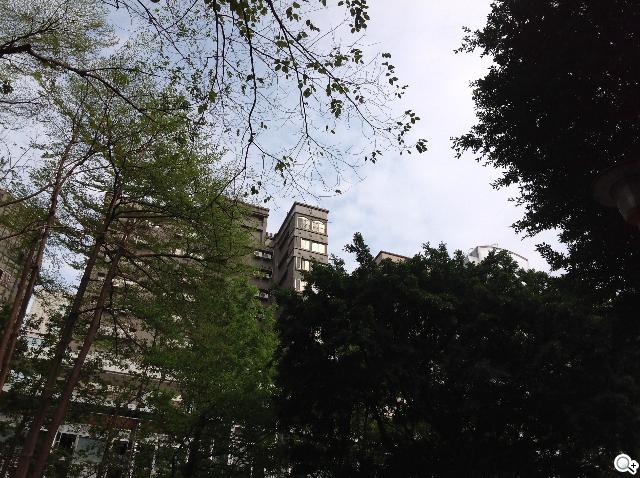 Apple iPad 4th平板電腦 延續經典再出擊 Apple iPad 4th平板電腦 延續經典再出擊