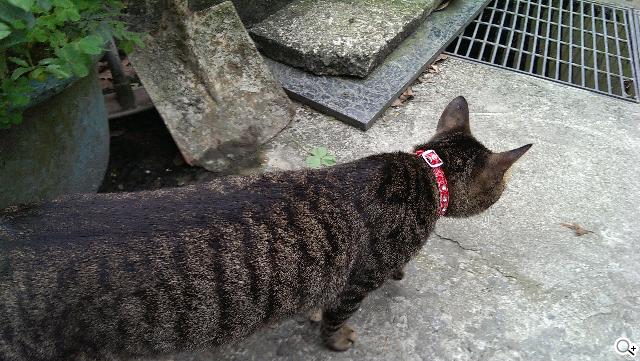 新HTC One UltraPixel攝錄實力與Zoe應用詳測