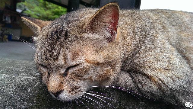 新HTC One UltraPixel攝錄實力與Zoe應用詳測