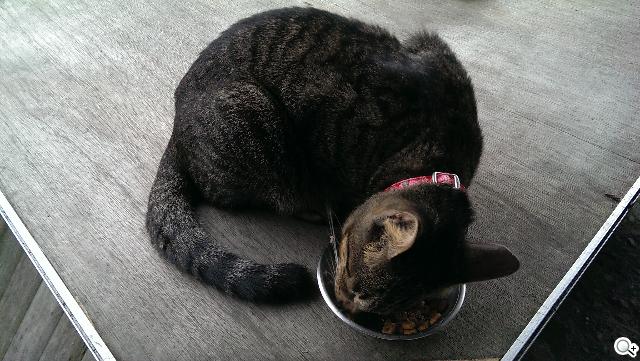 新HTC One UltraPixel攝錄實力與Zoe應用詳測