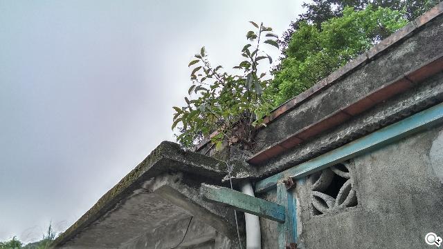 新HTC One UltraPixel攝錄實力與Zoe應用詳測