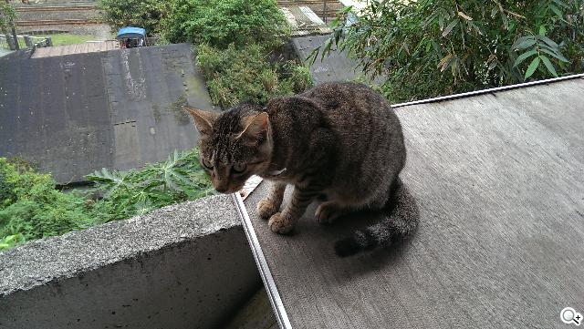 新HTC One UltraPixel攝錄實力與Zoe應用詳測