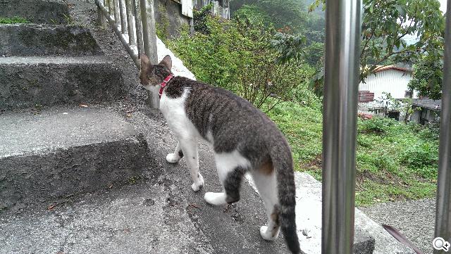 新HTC One UltraPixel攝錄實力與Zoe應用詳測