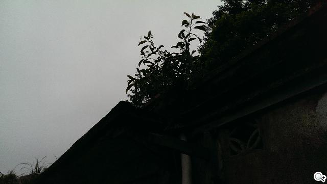 新HTC One UltraPixel攝錄實力與Zoe應用詳測