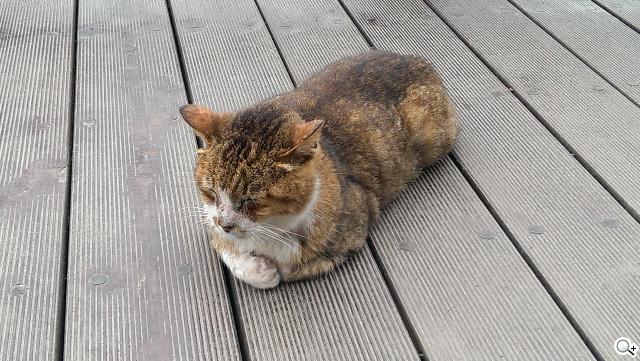 新HTC One UltraPixel攝錄實力與Zoe應用詳測