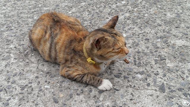 新HTC One UltraPixel攝錄實力與Zoe應用詳測