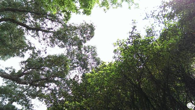 新HTC One UltraPixel攝錄實力與Zoe應用詳測