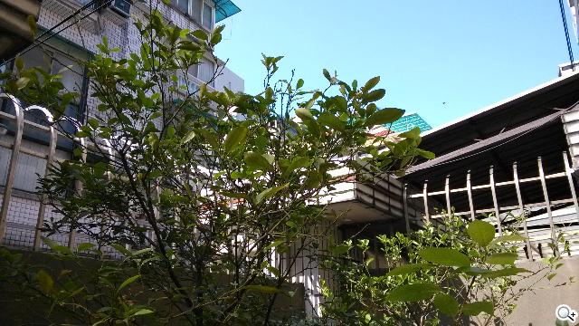 平價旗艦機皇升級版 台版小米手機2S評測