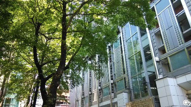 平價旗艦機皇升級版 台版小米手機2S評測