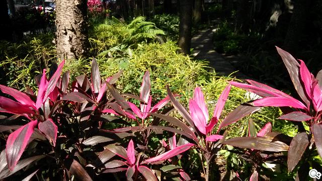 平價旗艦機皇升級版 台版小米手機2S評測