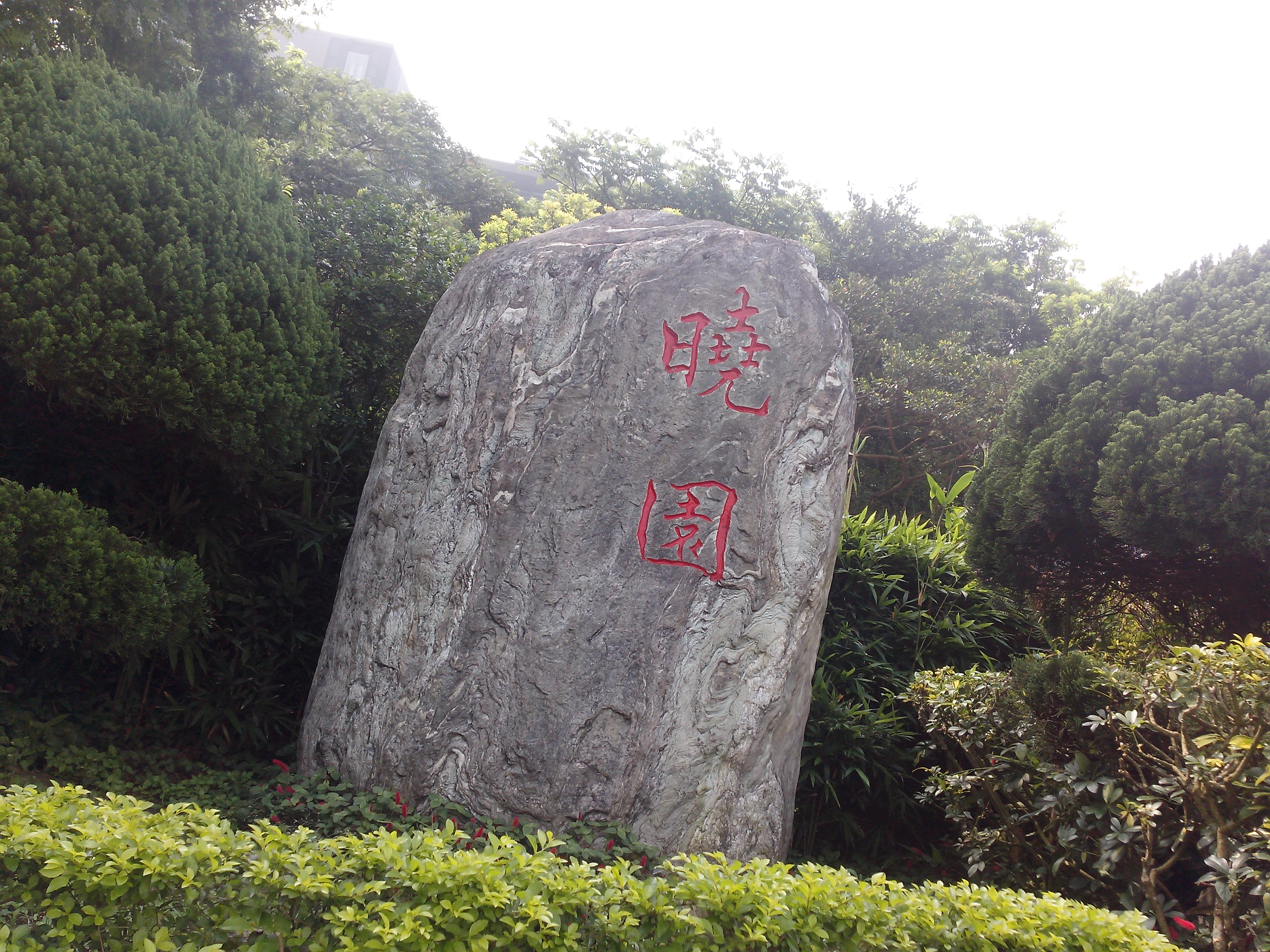 國產4.5吋、雙卡雙核 GSmart Maya M1