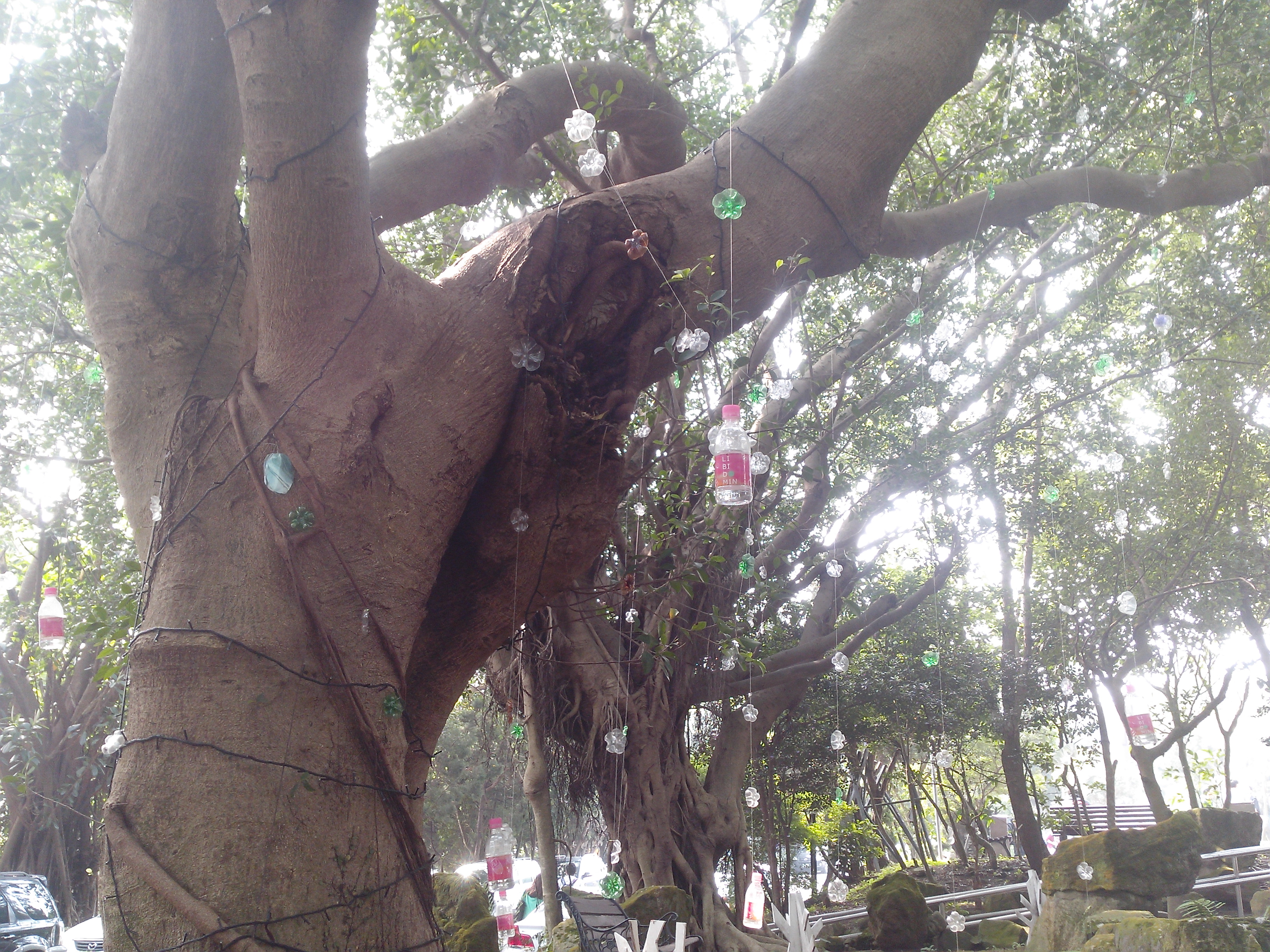 國產4.5吋、雙卡雙核 GSmart Maya M1