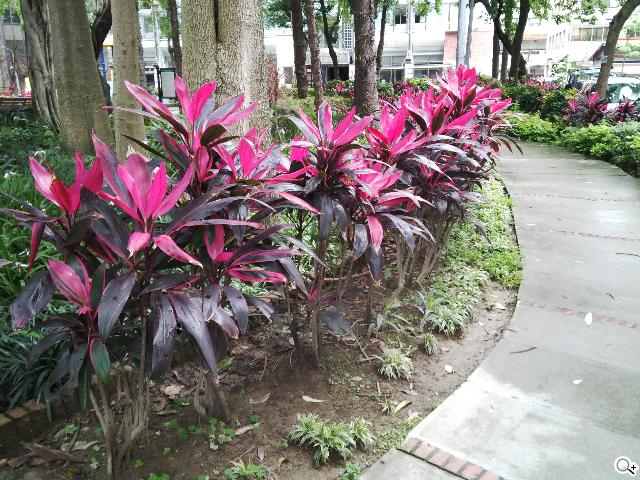 BlackBerry Z10輕鬆「Flow」、隨時「Hub」