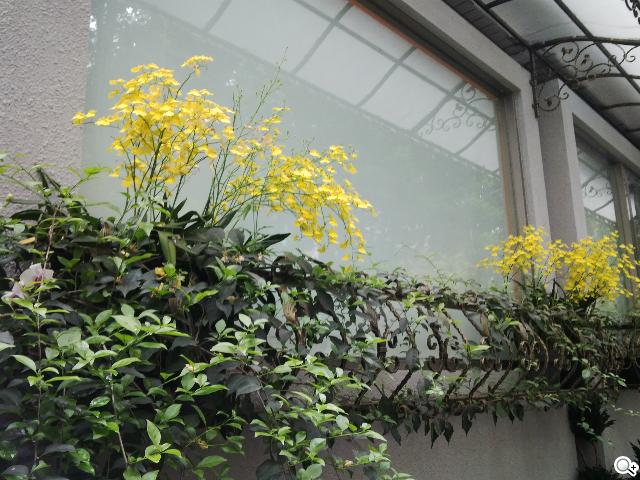 BlackBerry Z10輕鬆「Flow」、隨時「Hub」