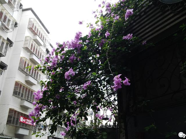 BlackBerry Z10輕鬆「Flow」、隨時「Hub」