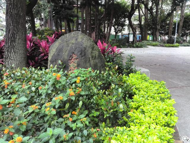 6.1吋大視界體驗 HUAWEI Ascend Mate