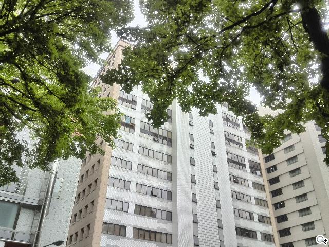 6.1吋大視界體驗 HUAWEI Ascend Mate