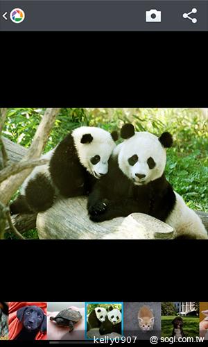 LG Optimus L7 II Duet+內外兼修的平價雙卡機