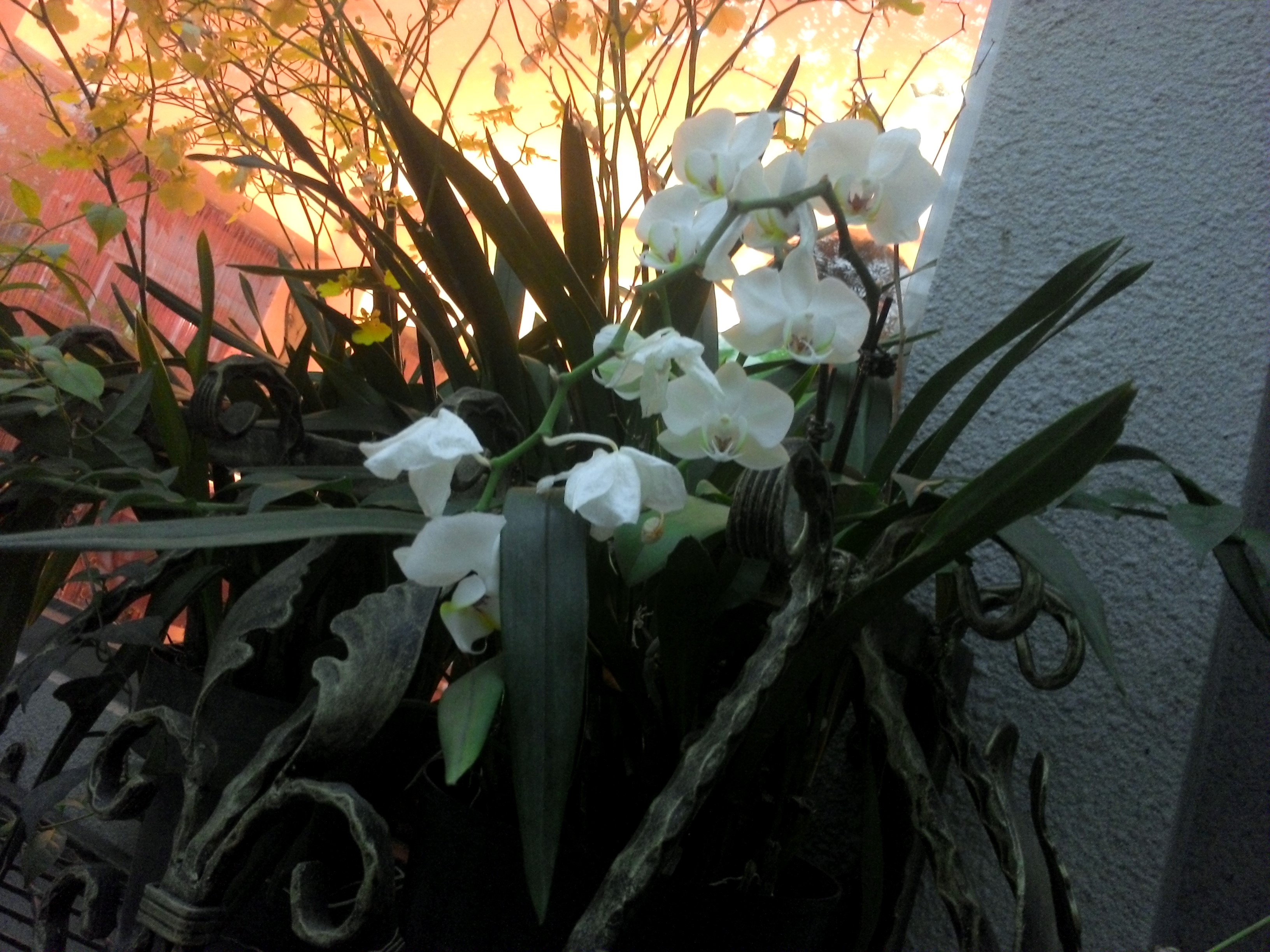 本格派win8商務輕平板 聯想ThinkPad Tablet 2