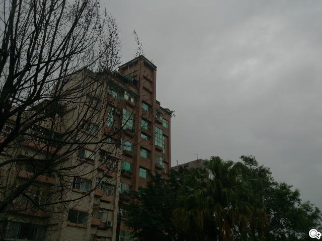 手感絕佳的索尼5吋旗艦機皇 Sony Xperia ZL