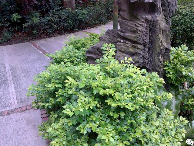 Acer Aspire P3觸打雙用 筆電、平板功能集一身