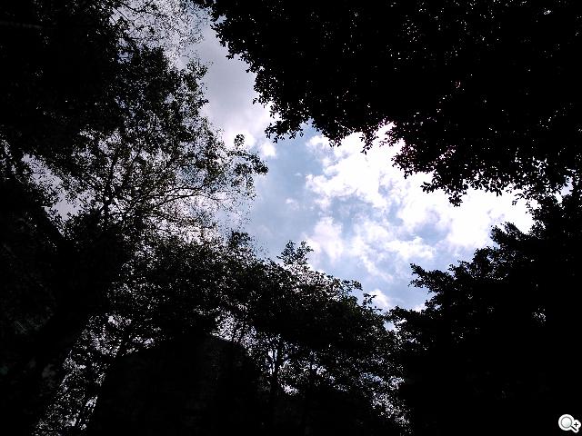 Sony Xperia L再現經典弧形 HDR攝錄輕鬆擁有