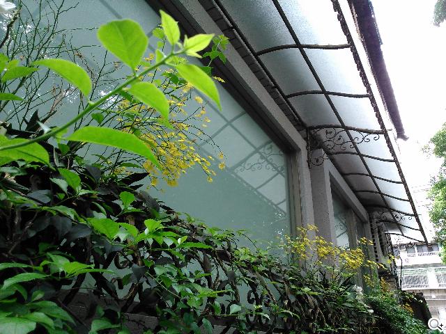 Sony Xperia L再現經典弧形 HDR攝錄輕鬆擁有