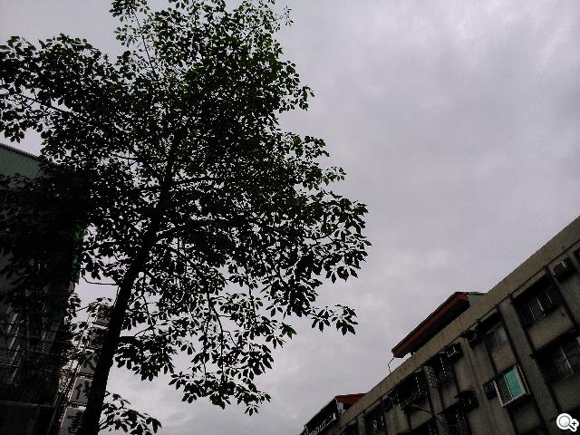 Sony Xperia L再現經典弧形 HDR攝錄輕鬆擁有