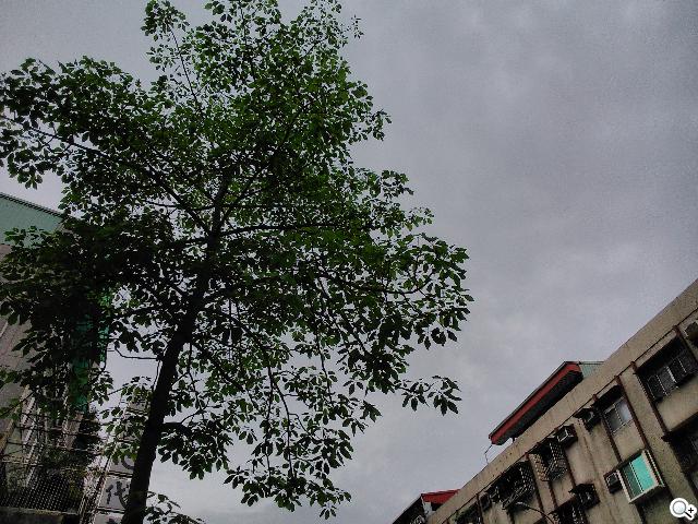 Sony Xperia L再現經典弧形 HDR攝錄輕鬆擁有