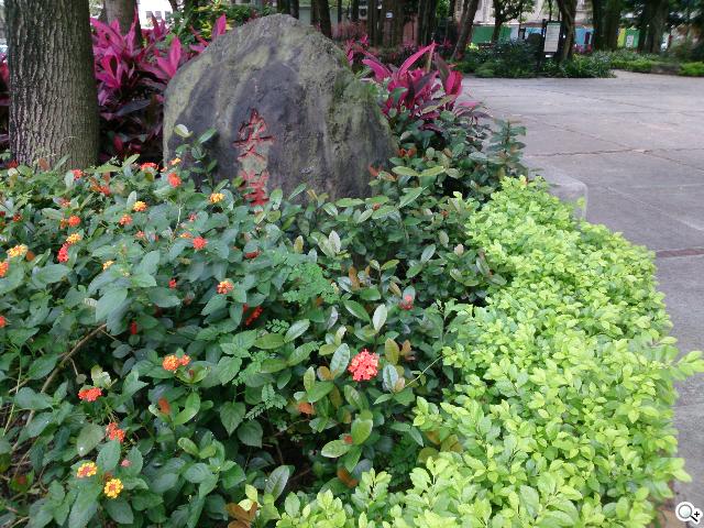 索尼美型四核防水平板Xperia Tablet Z 功能實測