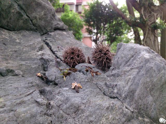 索尼美型四核防水平板Xperia Tablet Z 功能實測