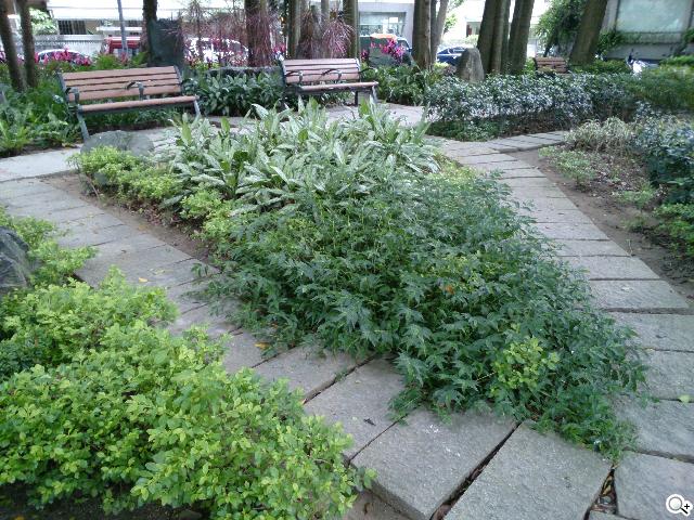 索尼美型四核防水平板Xperia Tablet Z 功能實測