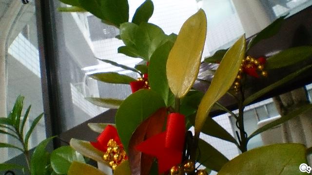 索尼美型四核防水平板Xperia Tablet Z 功能實測