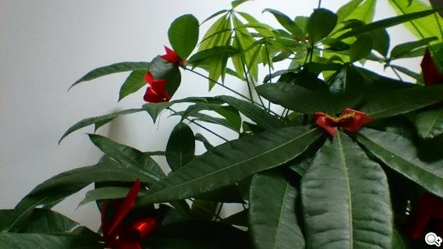 索尼美型四核防水平板Xperia Tablet Z 功能實測