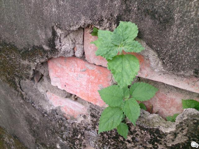 索尼美型四核防水平板Xperia Tablet Z 功能實測