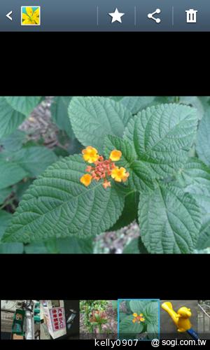 三星GALAXY Win雙卡智慧「國民天王機」平價登場