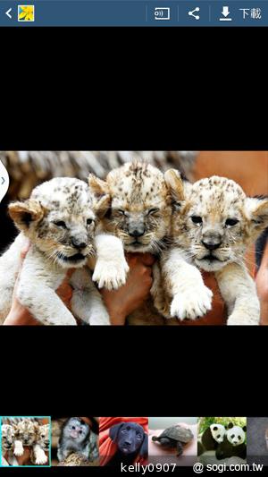 SAMSUNG GALAXY MEGA 6.3「航母級」的超巨屏體驗