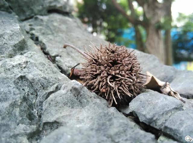 小米手機2S 32GB網購開箱 16&32GB相機簡測