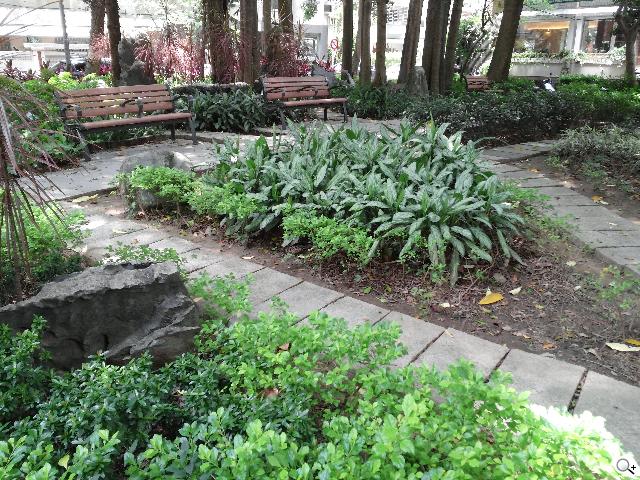 5.5吋FHD大螢幕、樂金旗艦機皇Optimus G Pro