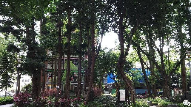 BlackBerry Z10更新BB10.1 功能再升級！