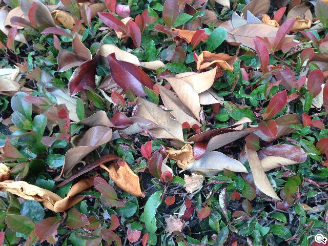 NOKIA Lumia 928、iPhone5對決單眼5D3跨界火拼！