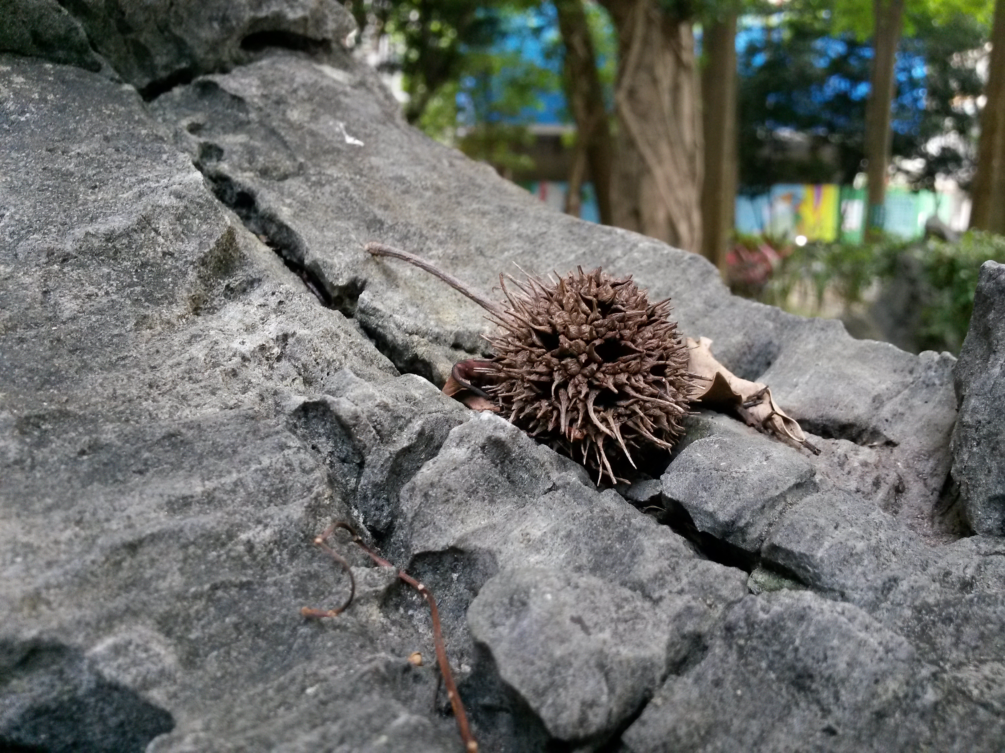 SAMSUNG GALAXY MEGA 6.3「航母級」的超巨屏體驗