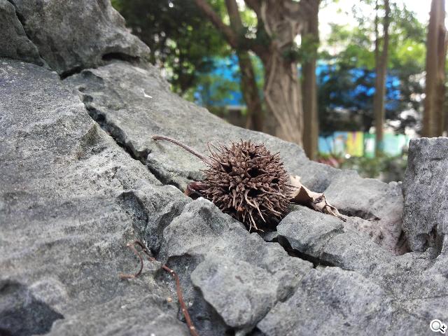 SAMSUNG GALAXY MEGA 5.8超大螢幕雙卡巨砲 SAMSUNG GALAXY MEGA 5.8超大螢幕雙卡巨砲