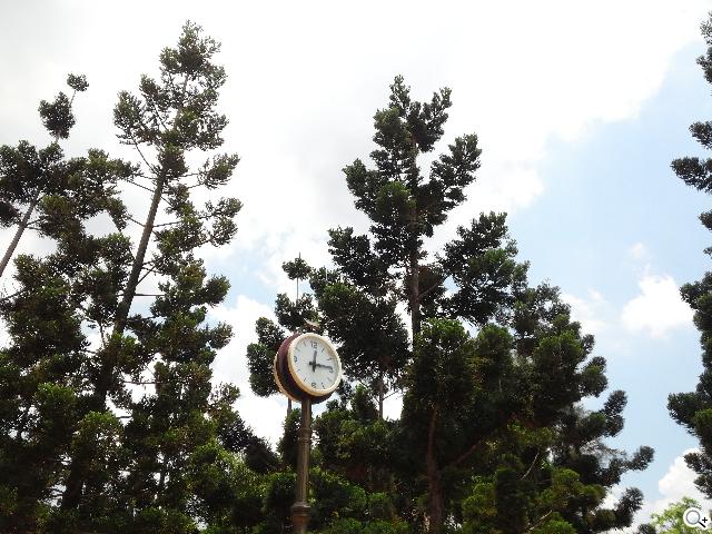 LG Optimus G Pro 大視野、智慧操作新體驗