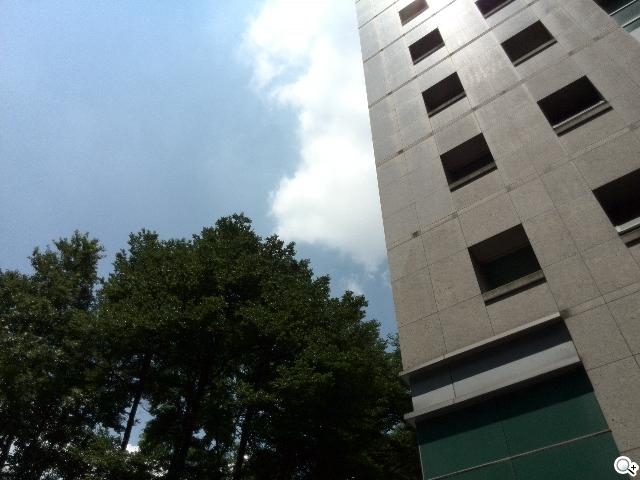 追求極致輕薄的智慧手機 華為Ascend P6詳測