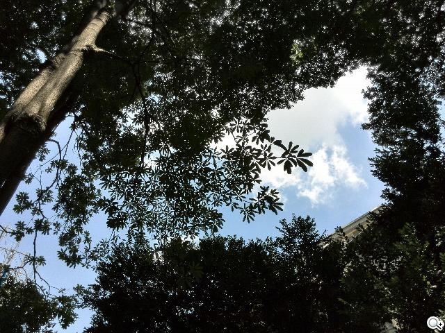 追求極致輕薄的智慧手機 華為Ascend P6詳測