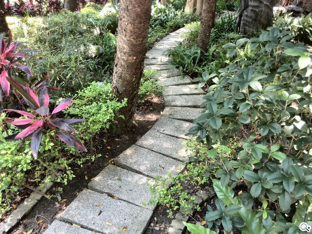 追求極致輕薄的智慧手機 華為Ascend P6詳測