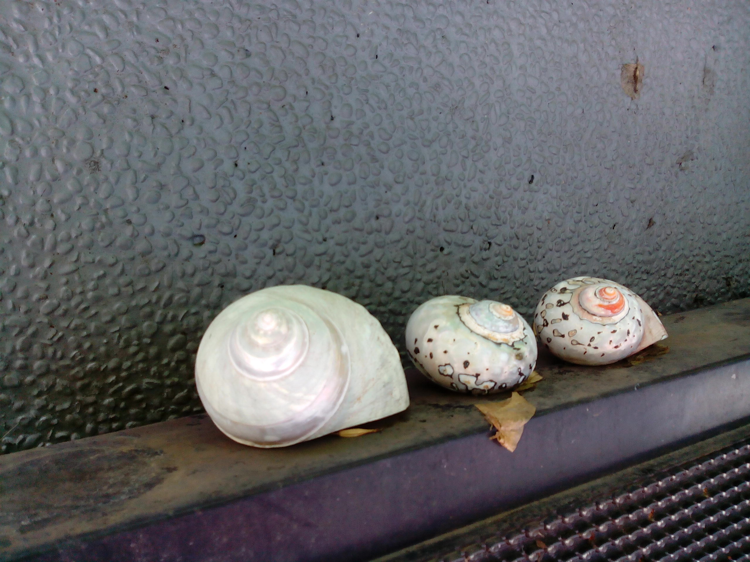 7.9吋平價四核平板Acer Iconia A1 能以手勢開啟App