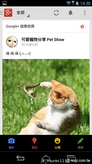 InFocus IN810平價級中高階智慧機 支援4G多頻段