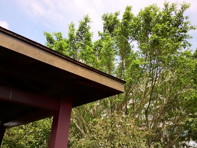 【相機】Sony Xperia Z Ultra攝錄體驗 功能評析